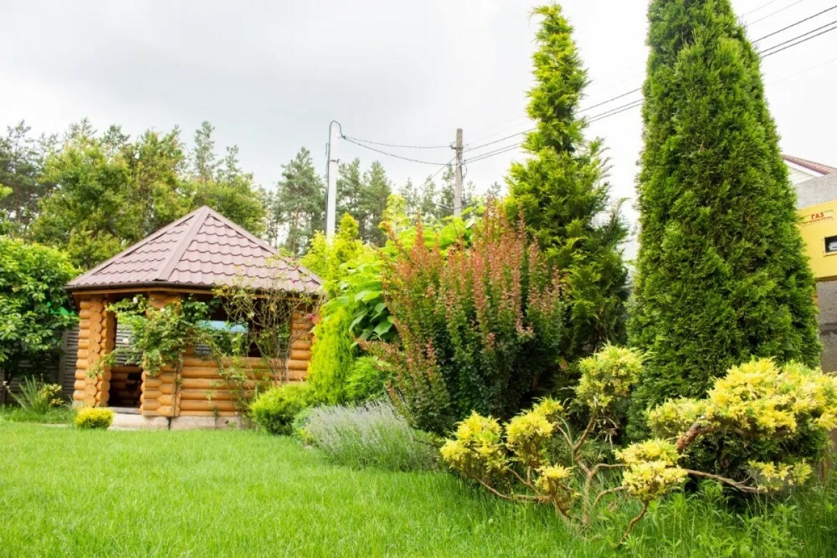 https://penza.tgv-stroy.ru/storage/app/uploads/public/637/ef4/fb3/637ef4fb3605f391429275.png